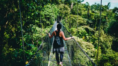Solo Travel Tips
