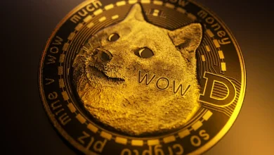 Crypto Communities