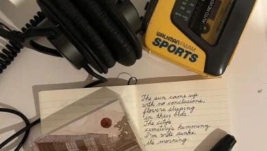 Analog Hobbies