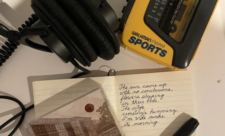 Analog Hobbies