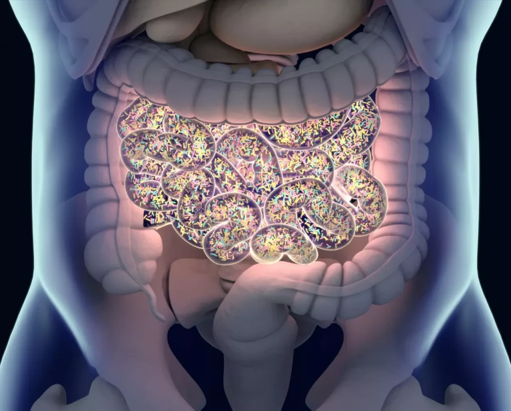 Gut Health