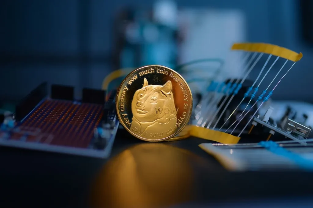 Meme Coins vs Utility Coins